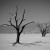 Dead Vlei - Namib Desert, Namibia